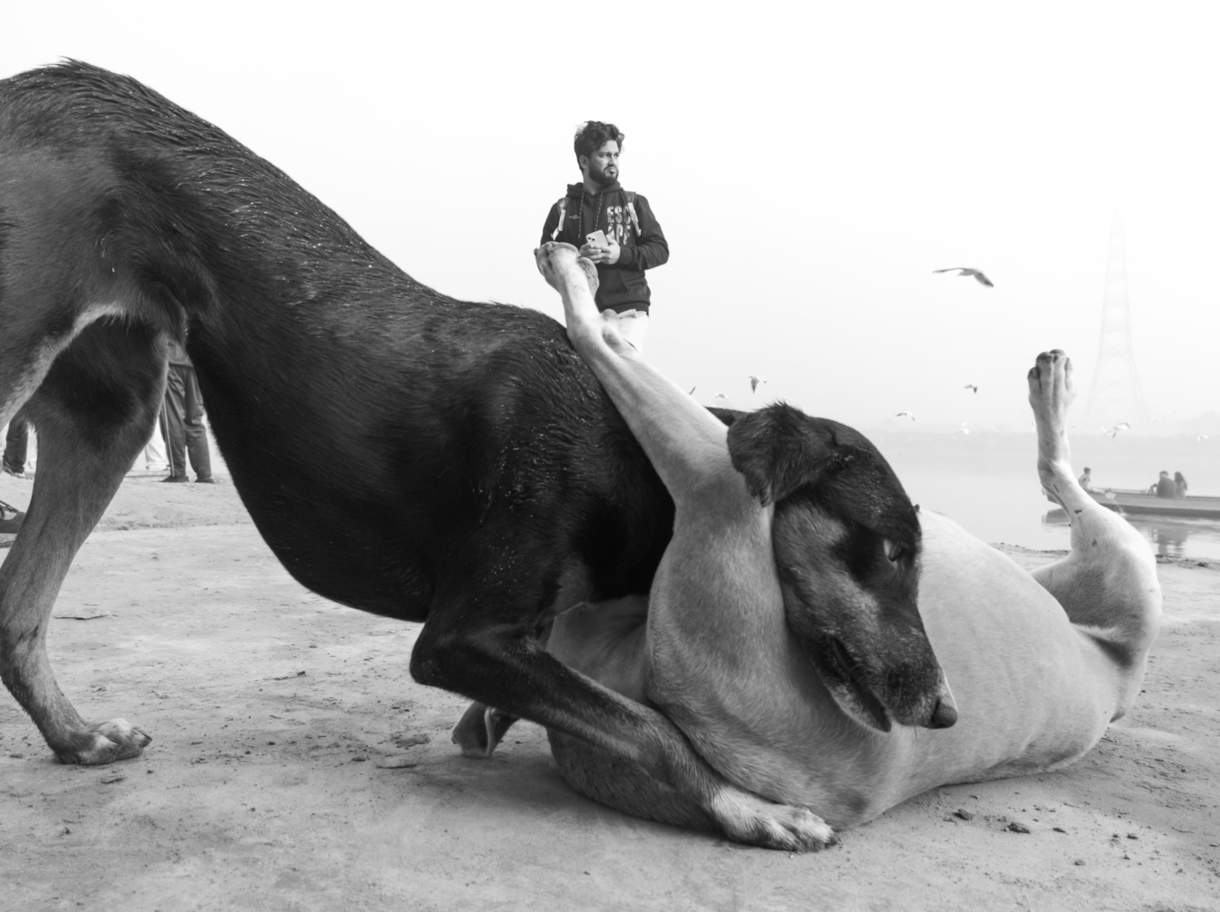 Unseen realities